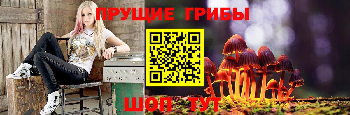 Сердобск  Псилоцибиновые грибы Cubensis  Псилоцибиновые грибы прущие грибы  Вход с VPN 